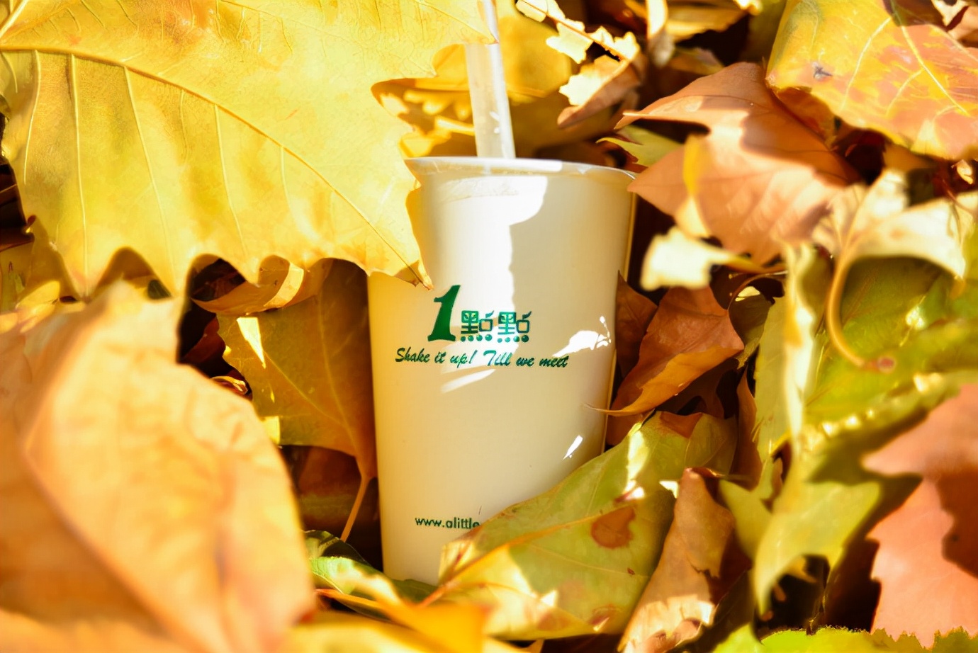 一点点加盟正规渠道,一点点加盟详细教程