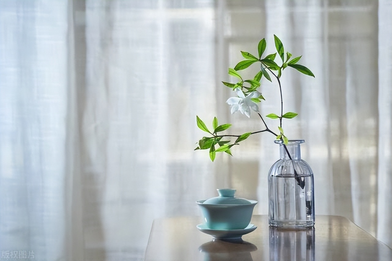 女人的微信头像看她的人品,看微信头像就可以知道女人的喜欢