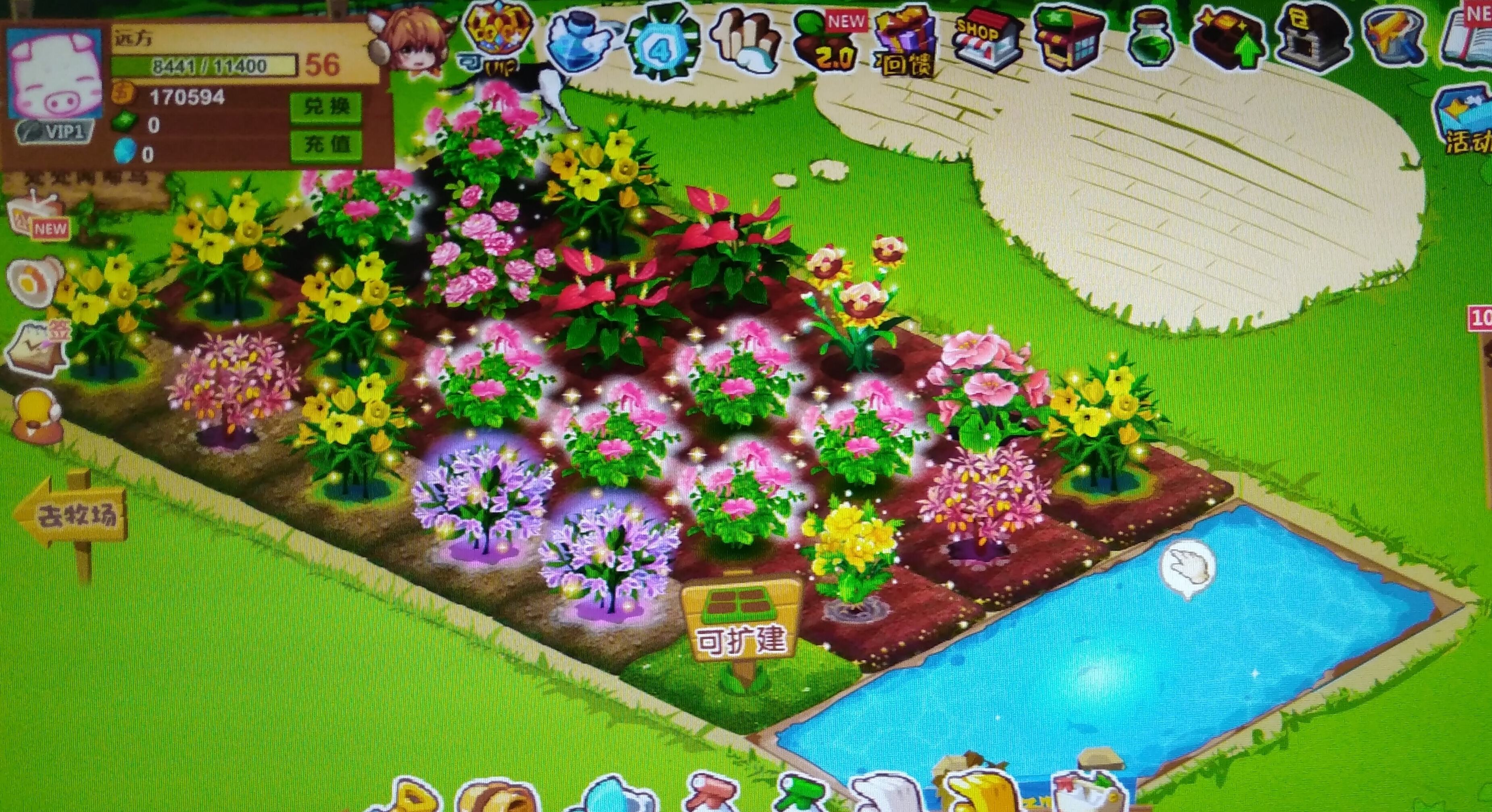 qq农场家园版,qq农场守卫家园