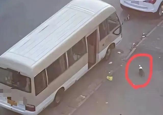 上海*锁封**以来，有些话不吐不快