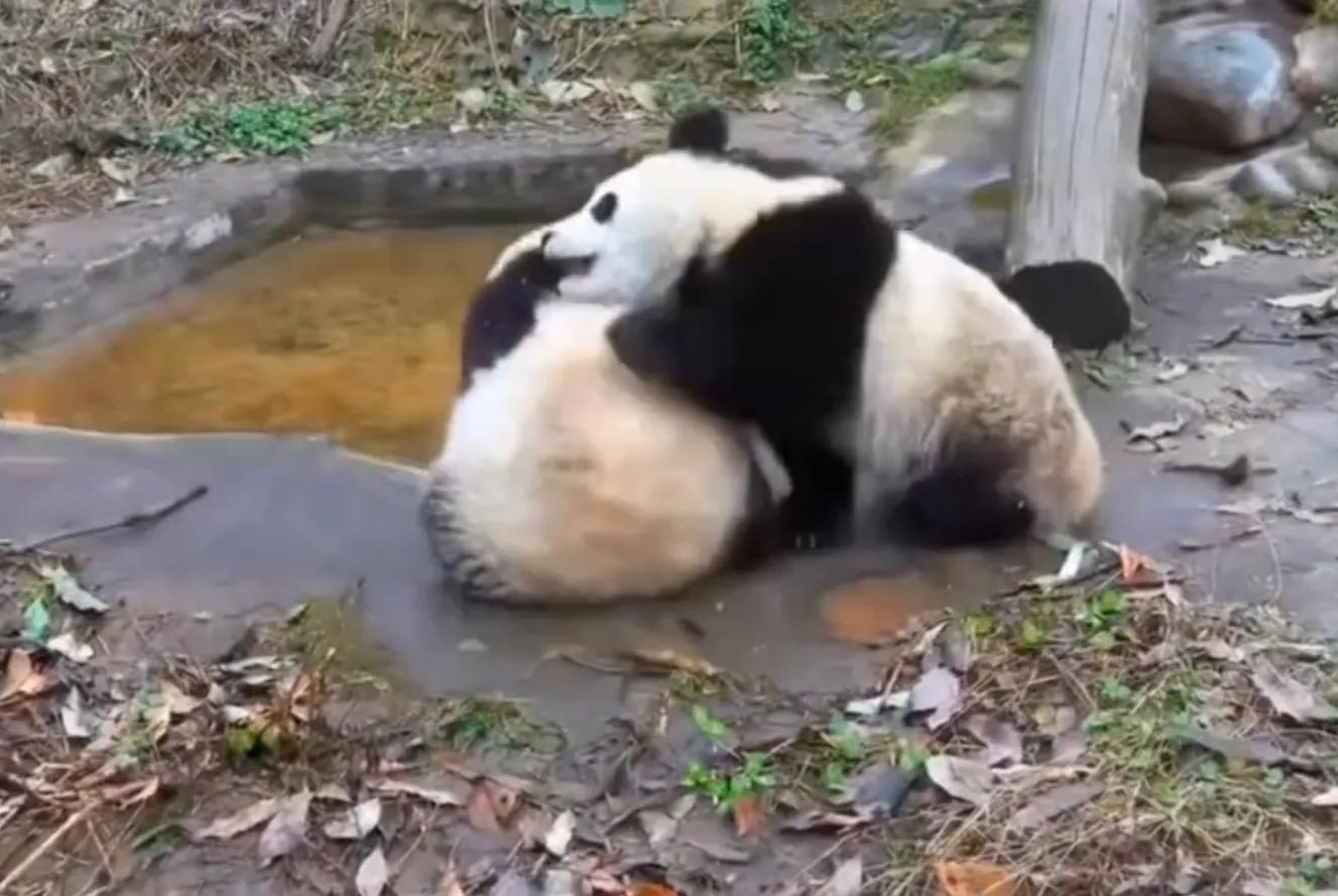 考古爱宝,考古爱宝的童年经历