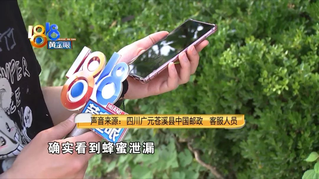 爸爸的“土蜂蜜”，中途“被销毁”