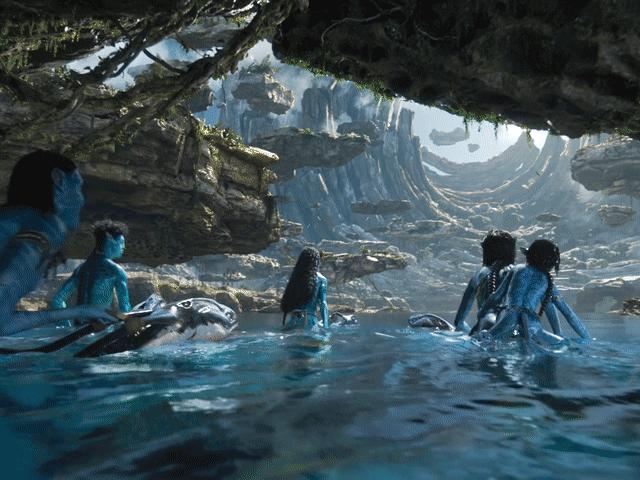 阿凡达2是赚了还是赔了,阿凡达二回顾