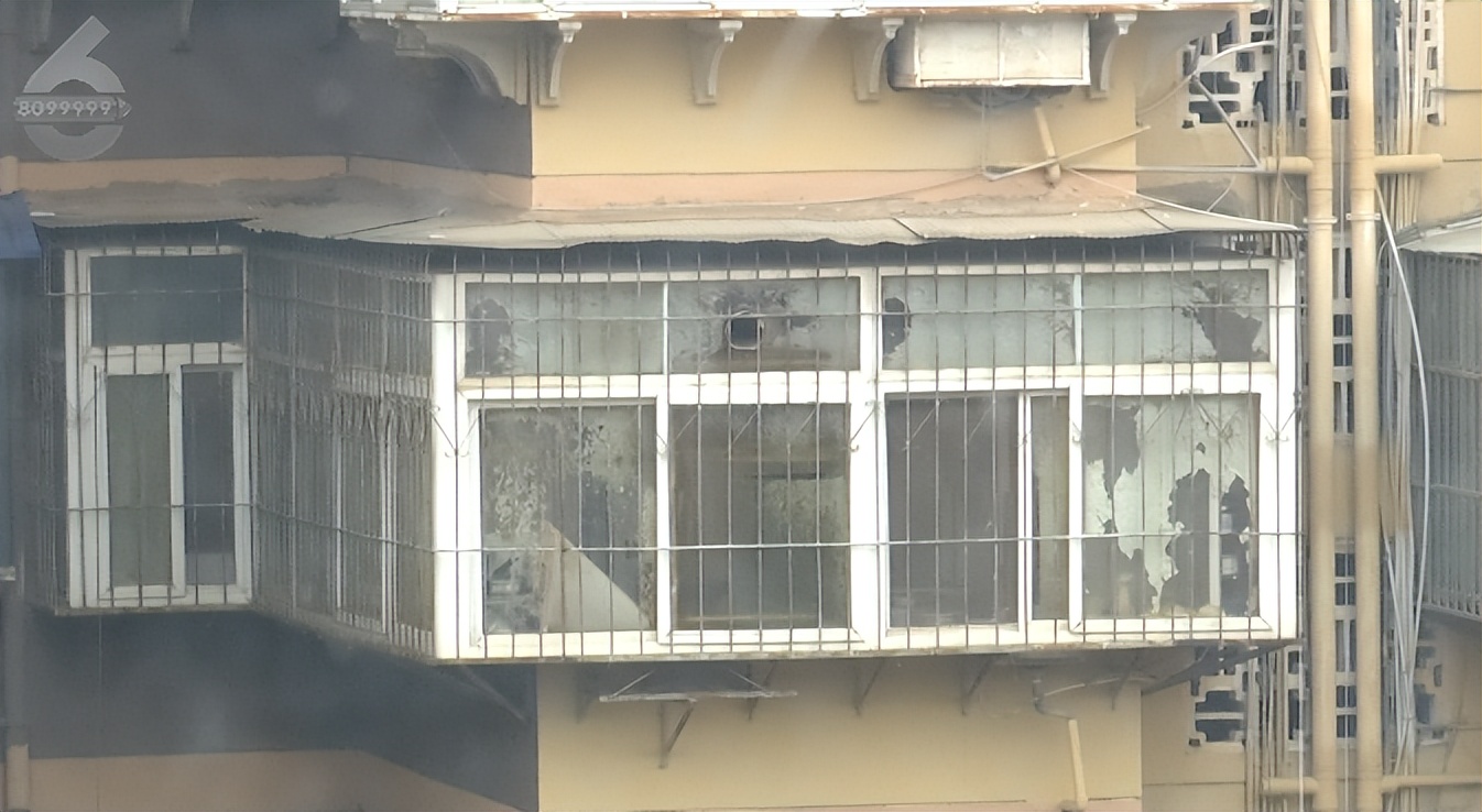 大妈被冤枉常常“高空抛物”，罪魁祸首居然要靠气球收拾？