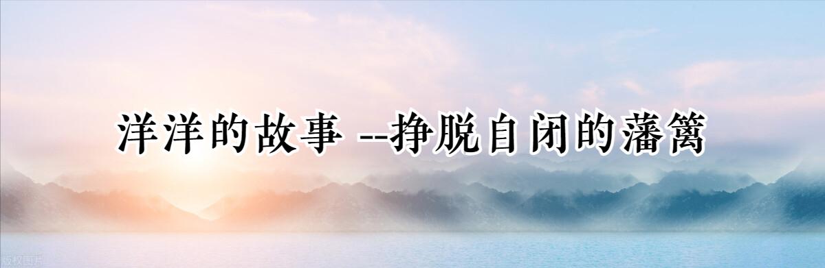 洋洋的故事,洋洋的背后的故事