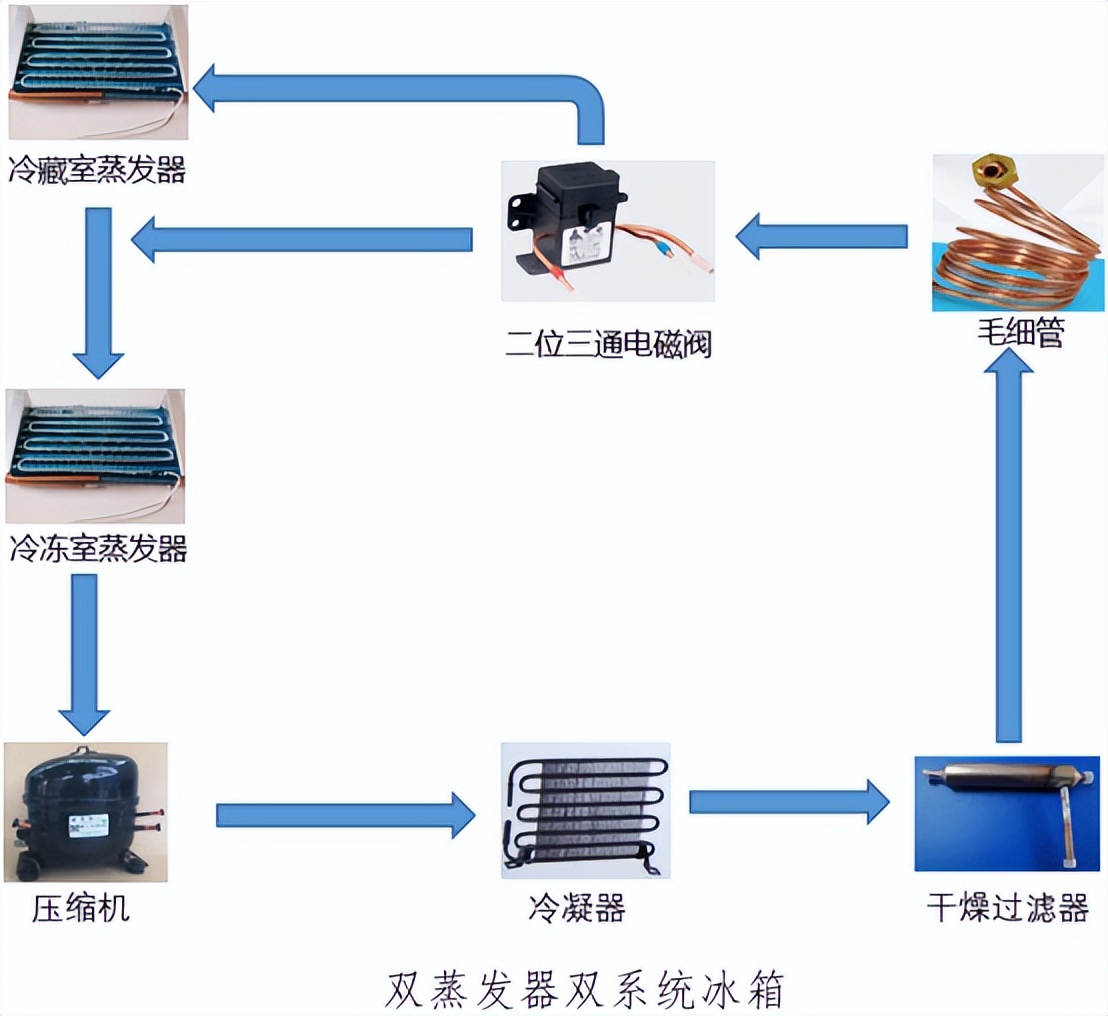 授之以渔阅读答案2016,授之以渔的五篇阅读