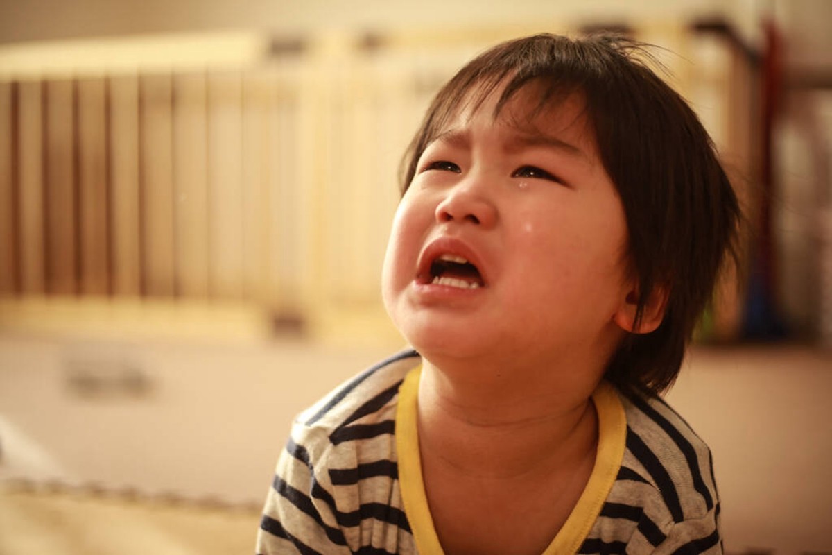 小孩很爱哭天天动不动就哭,动不动就爱哭的小孩很招人烦