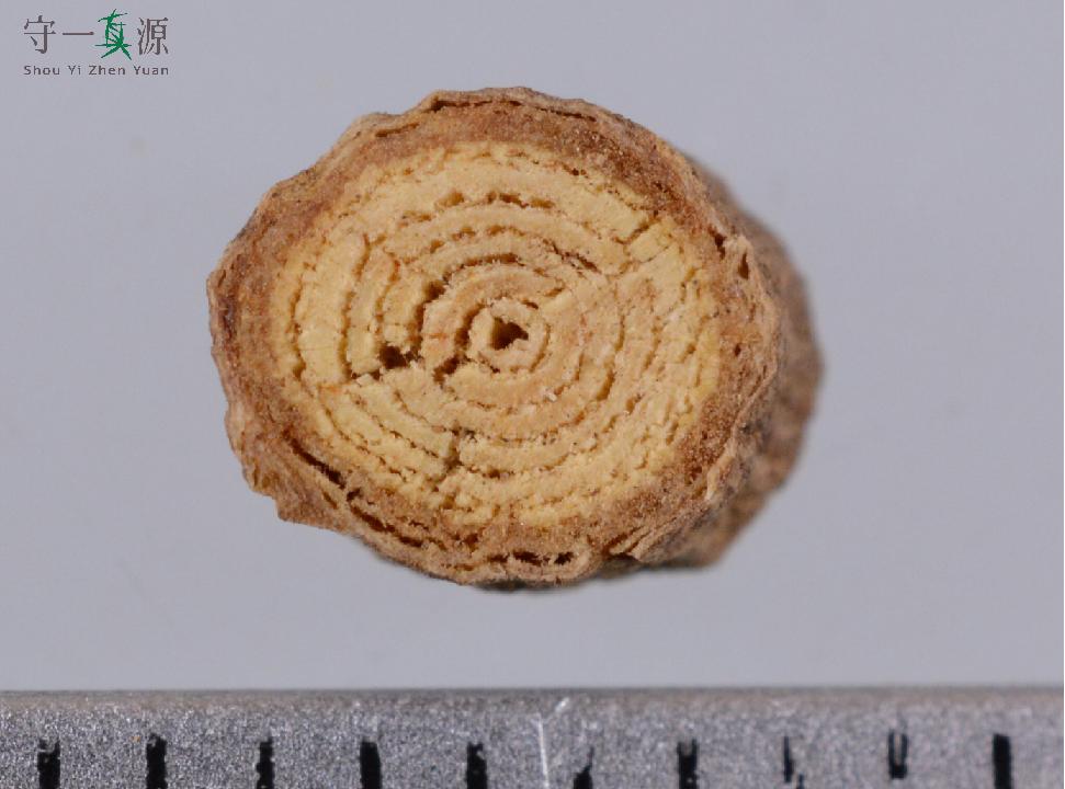 中药鉴定真假找谁,柴胡真假优劣鉴别