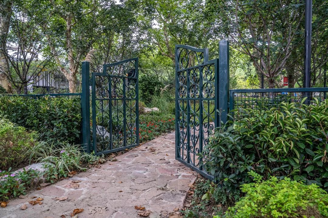 百年鲁迅公园图片大全,鲁迅公园的现状