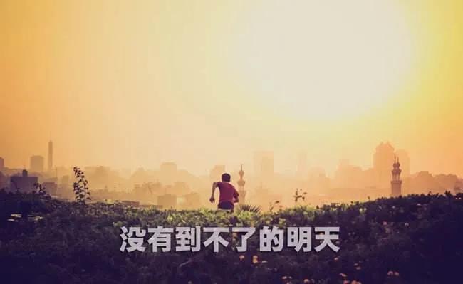 我和我的命朗读,我和我的命长篇完整版