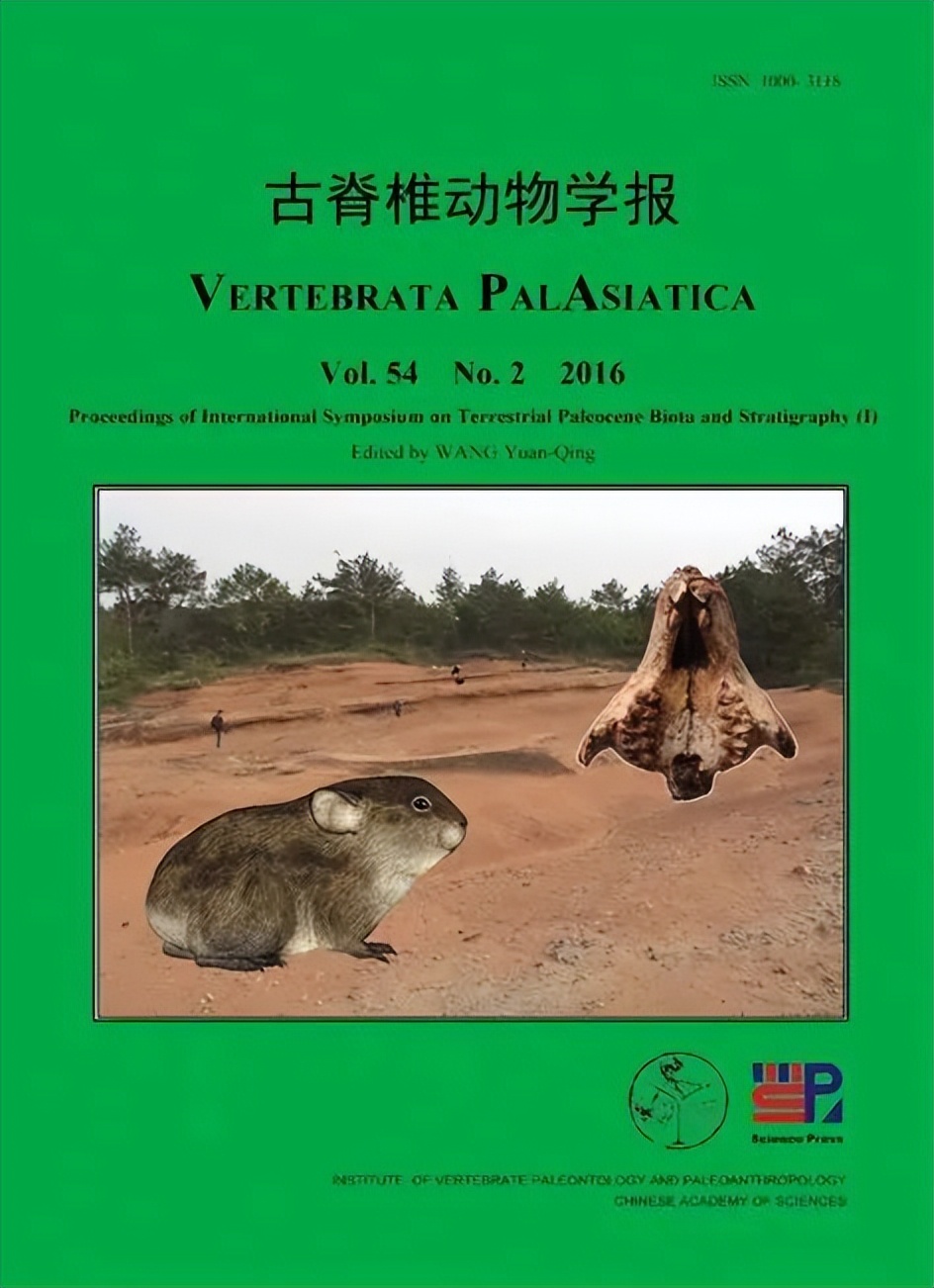 那年那兔那些年的故事,那年那兔那些事儿百年风云