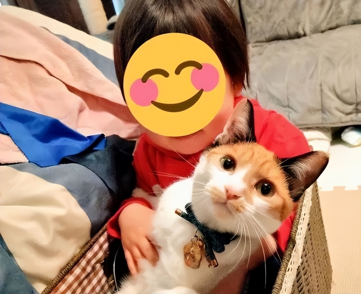 人被猫抓伤咬伤得狂犬病案例,经常被猫抓伤和咬伤该怎么办