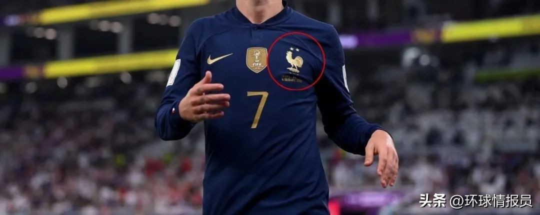 法国人为啥自称高卢雄鸡,法国为什么叫高卢雄鸡