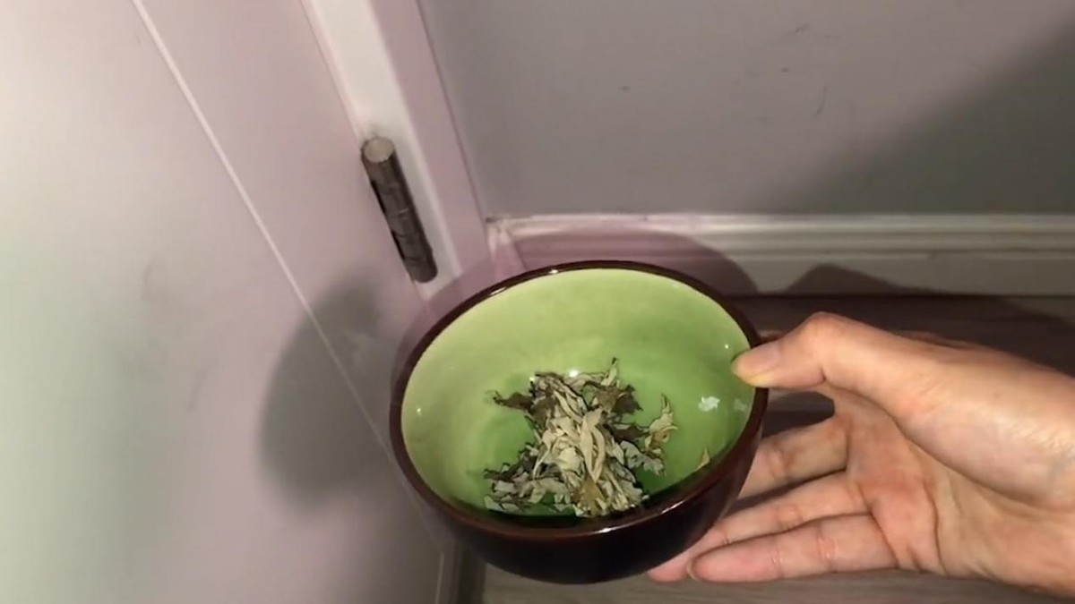 教你一招消灭家里所有的蚊子,对付蚊子的30个妙招