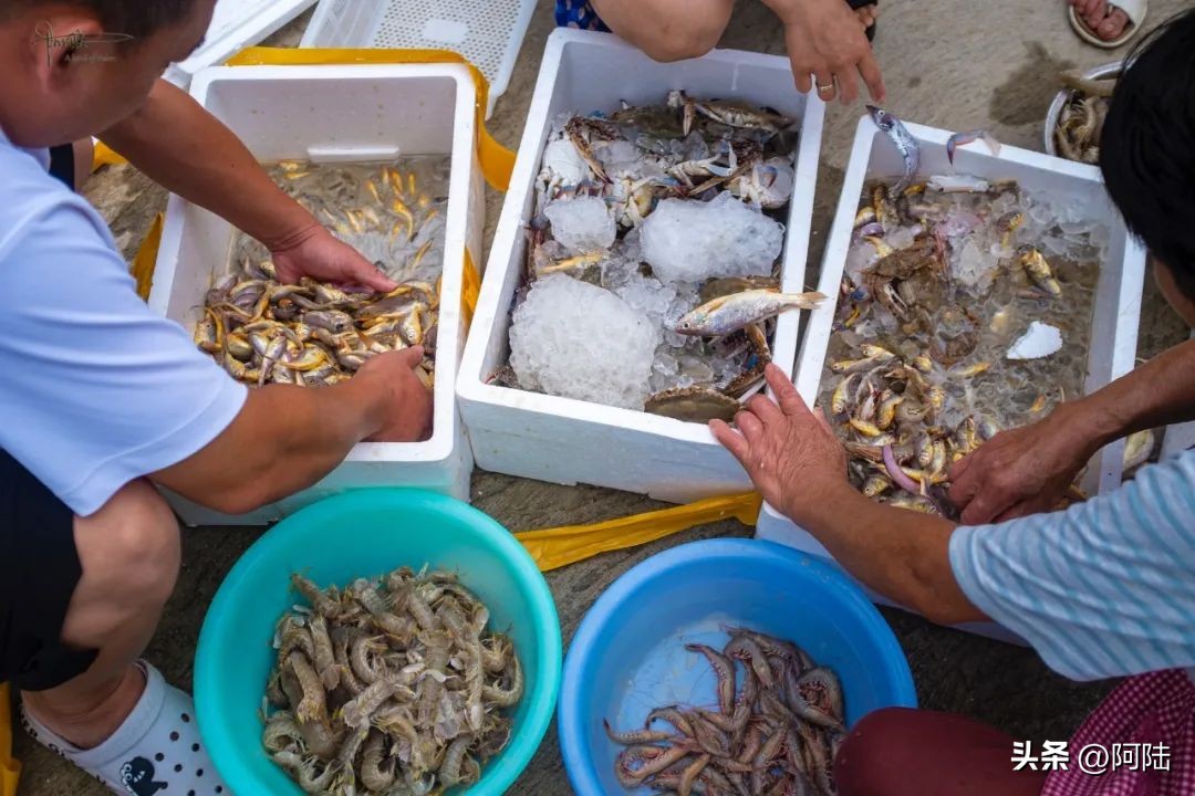 <html>
<head><title>502BadGateway</title></head>
<body>
<center><h1>502BadGateway</h1></center>
<hr><center>nginx</center>
</body>
</html>
<!--apaddingtodisableMSIEandChromefriendlyerrorpage-->
<!--apaddingtodisableMSIEandChromefriendlyerrorpage-->
<!--apaddingtodisableMSIEandChromefriendlyerrorpage-->
<!--apaddingtodisableMSIEandChromefriendlyerrorpage-->
<!--apaddingtodisableMSIEandChromefriendlyerrorpage-->
<!--apaddingtodisableMSIEandChromefriendlyerrorpage-->
