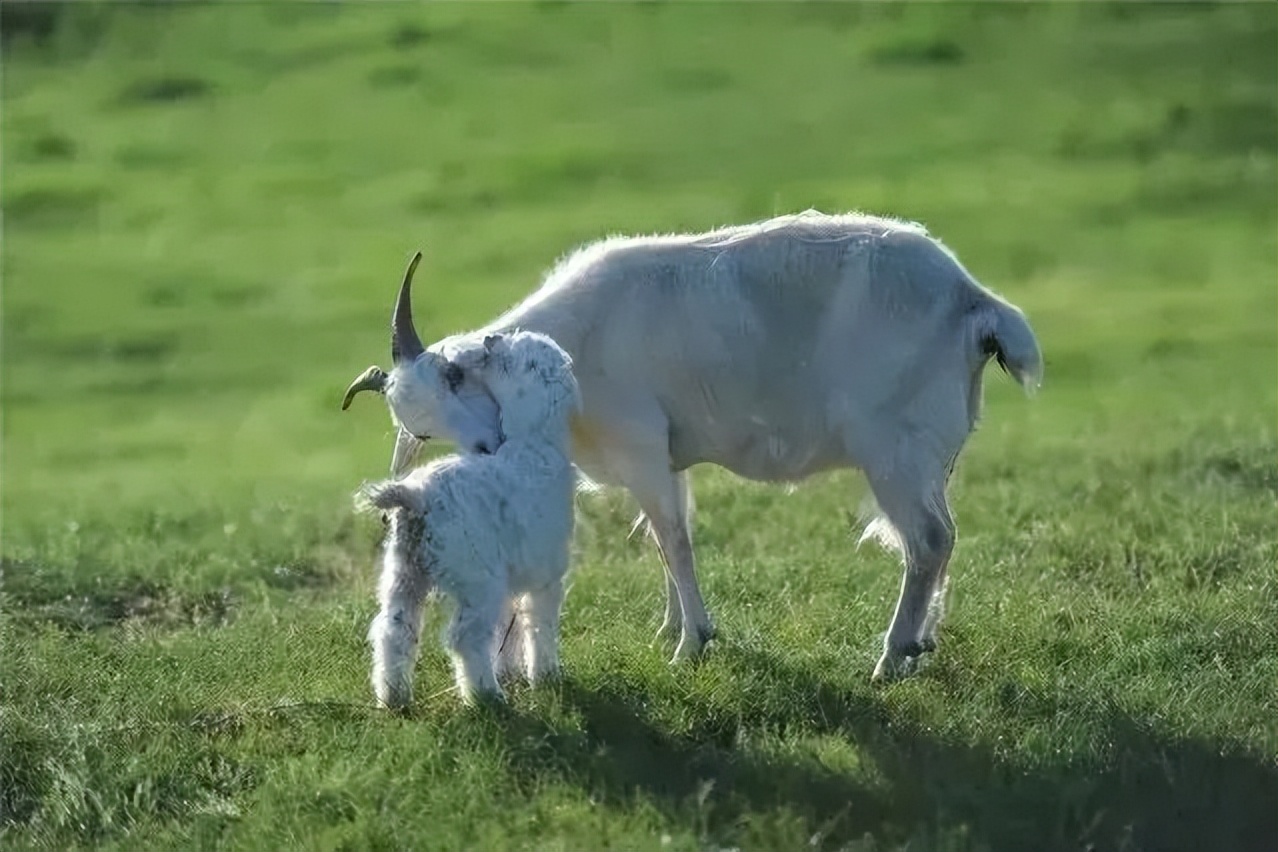 向北向北！|“美”在内蒙古