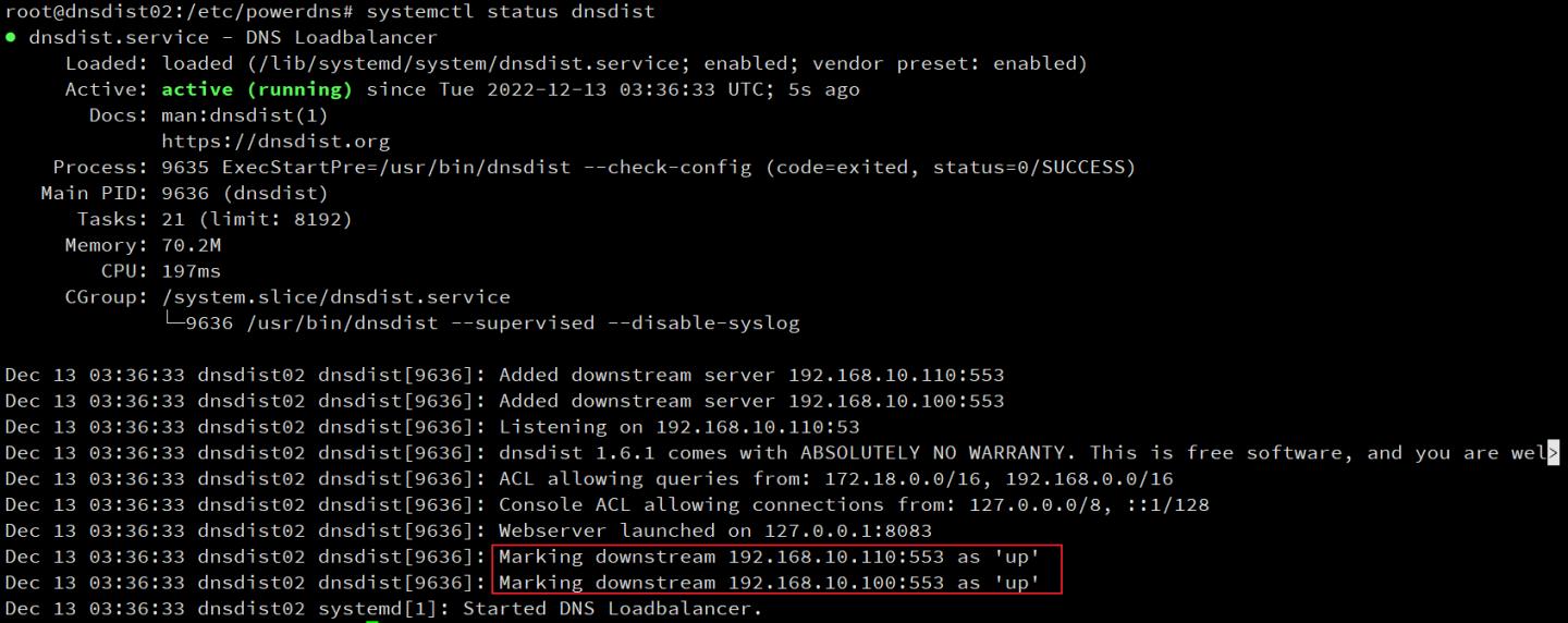 dns初学者教程免费,dns项目详细讲解