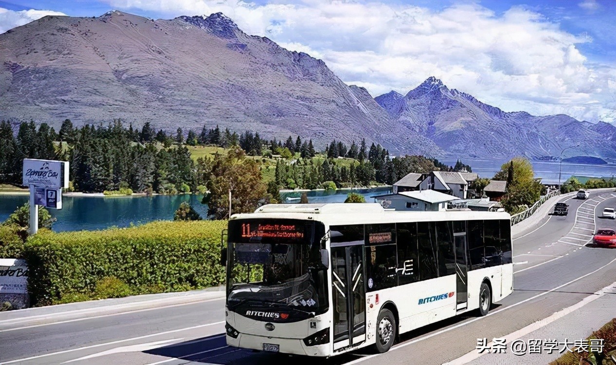 新西兰寄宿多少钱,新西兰寄宿一周多少钱