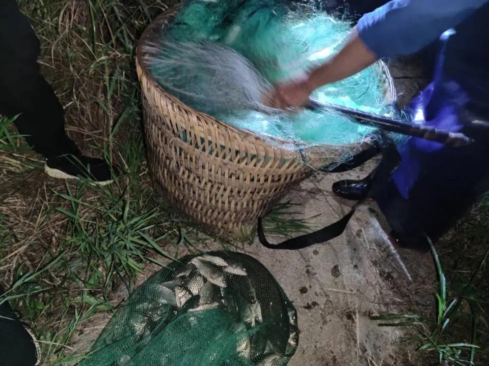 多部门联合打击非法捕鱼执法行动,联合执法持续打击非法捕鱼行为