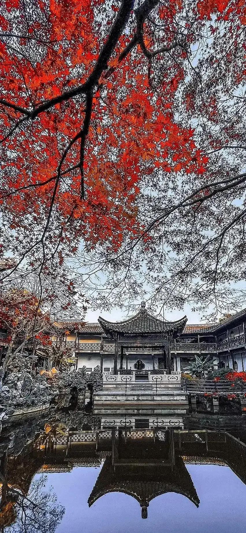 心旷神怡风景壁纸,100张绝美自然风景壁纸