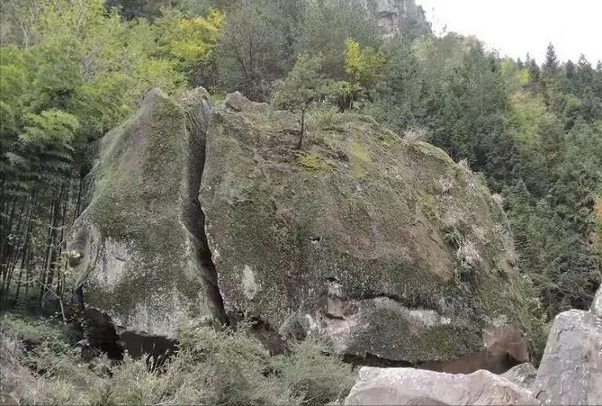 大爷挖出一个石头,老百姓挖到一块自然奇石有啥说法