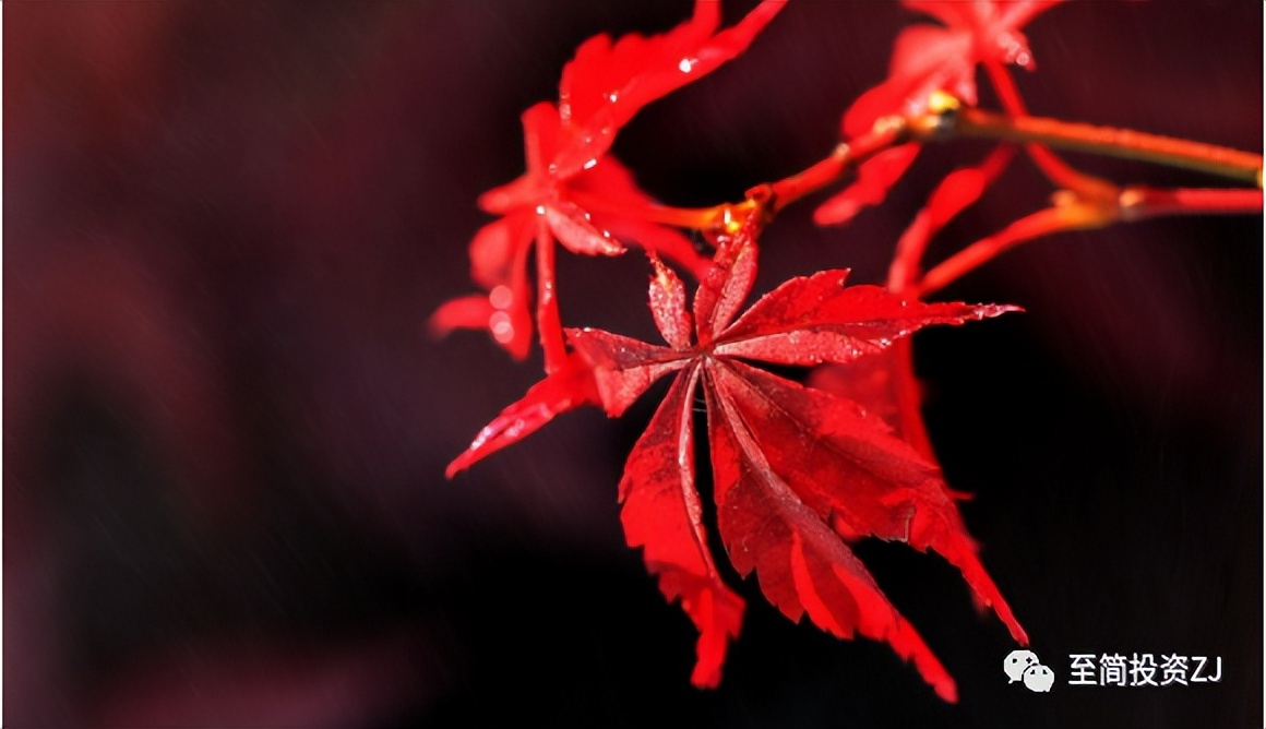 期货孟德稳谈日内入场点,期货操作技巧在线学习