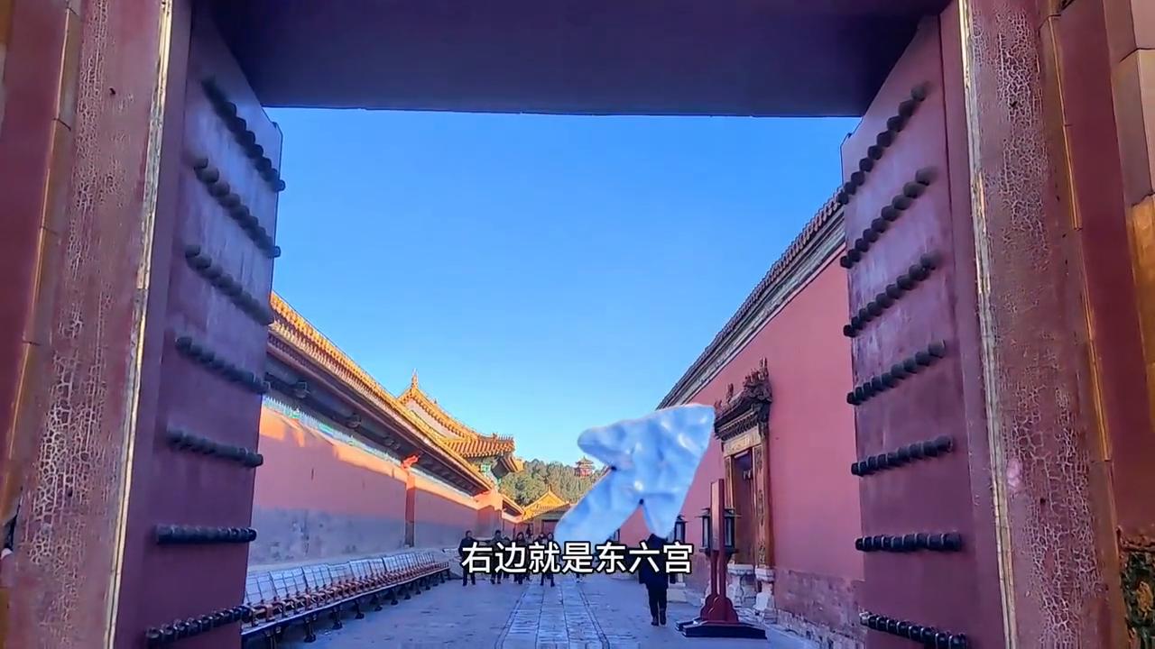 万春金福下午茶,万春金福下午茶哪个好吃