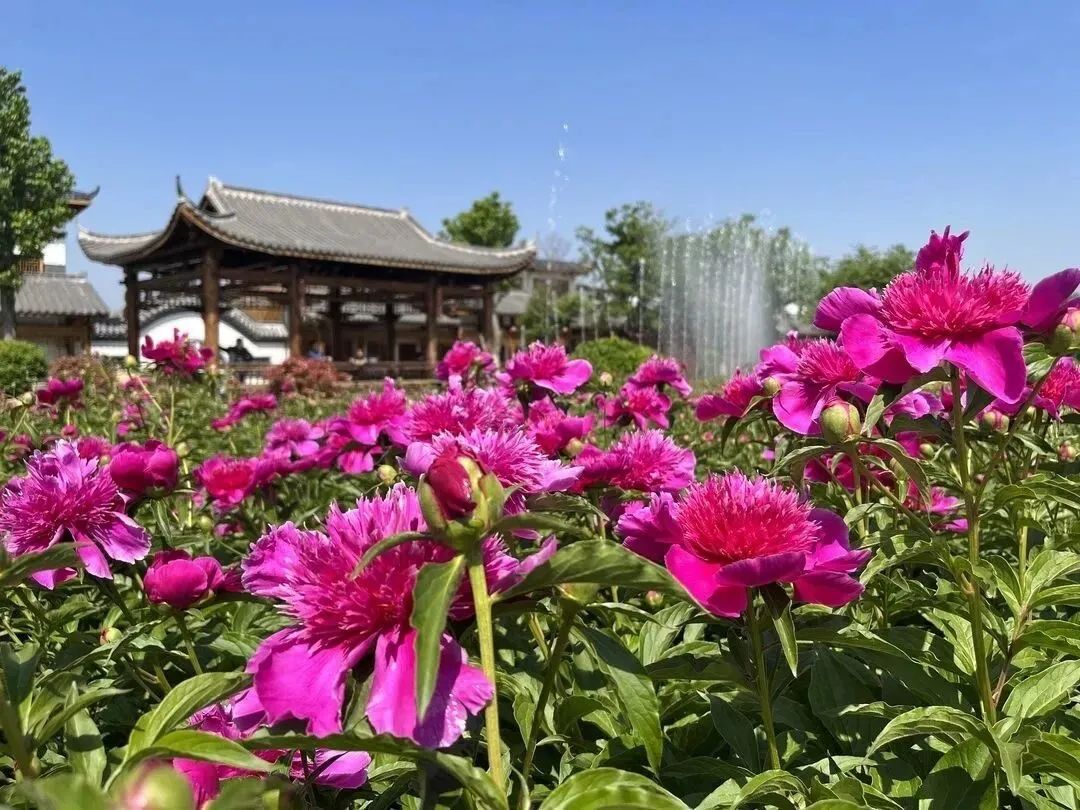 假日模式开启,假日模式怎么玩儿