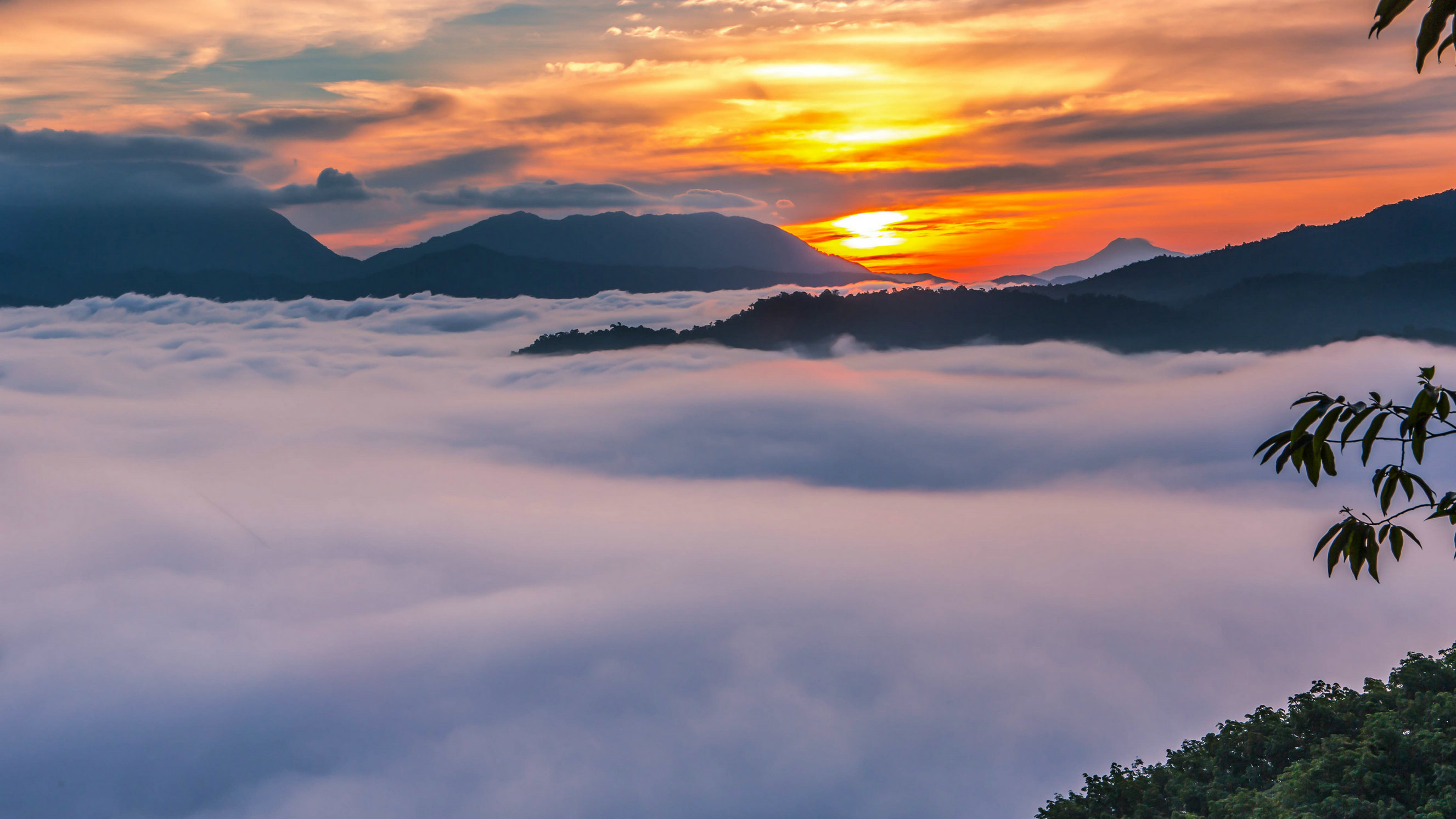 五指山夏季游玩攻略,五指山一年四季