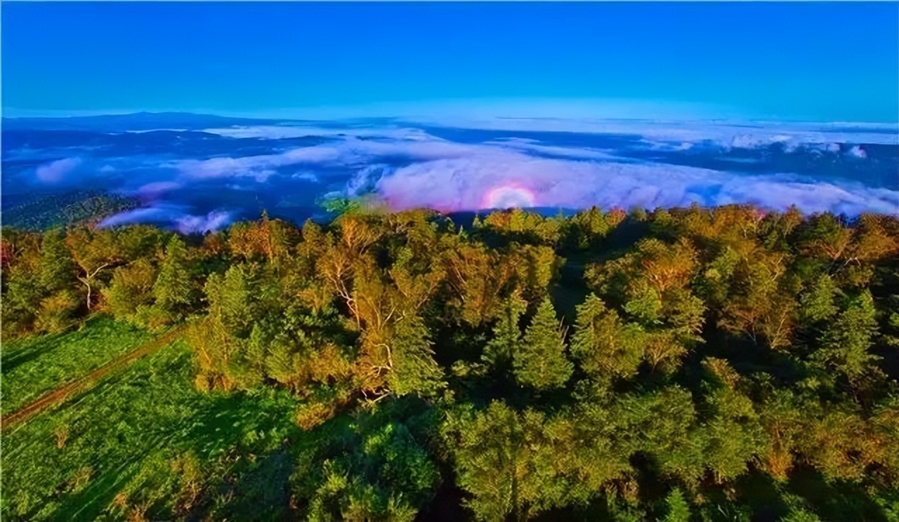 美好的夏天一切都在盛放,一切都从这个美好的夏天开始