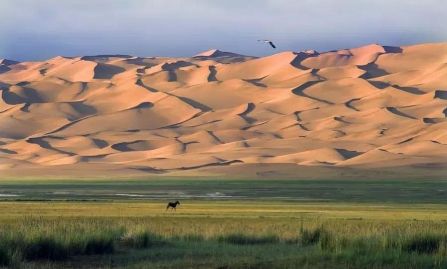青海茫崖魔鬼之眼,青海茫崖沙漠之眼