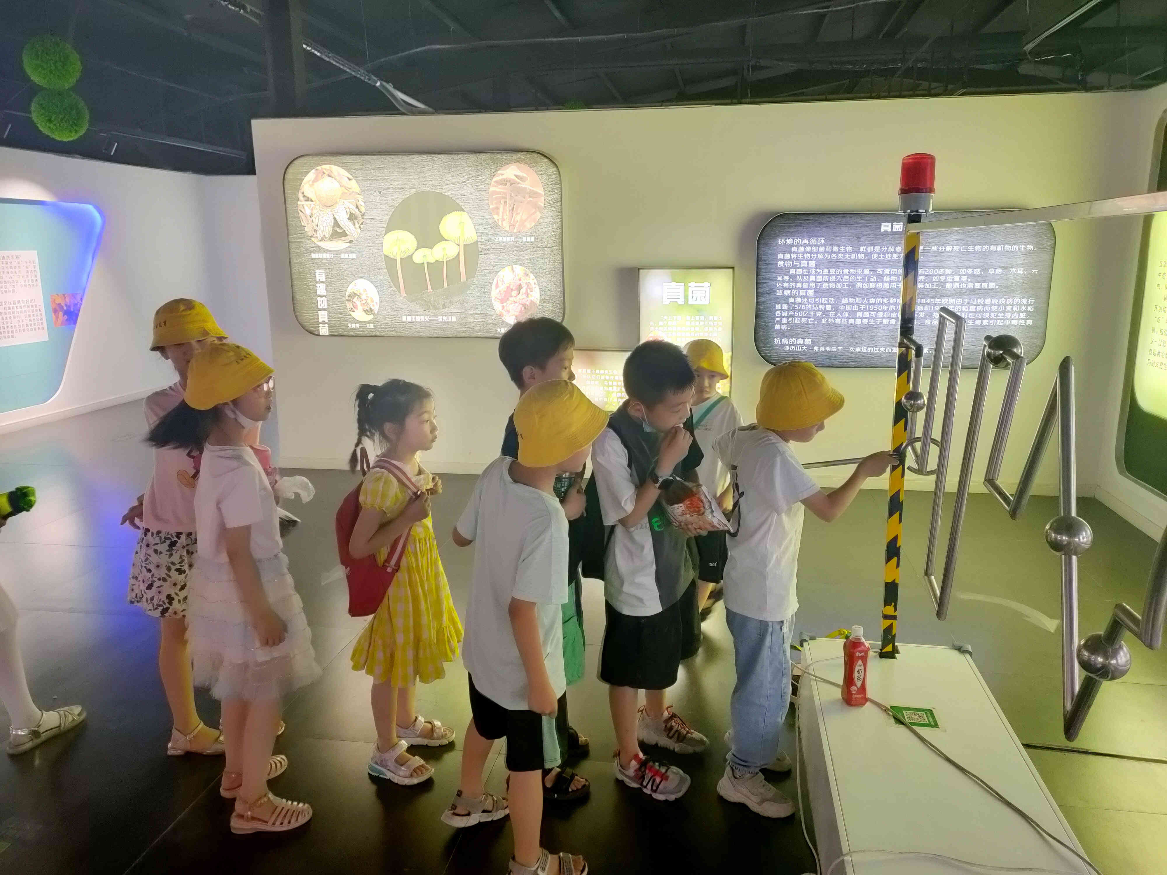 郑州周边遛娃游玩推荐景点有哪些,郑州周末遛娃好去处一日游