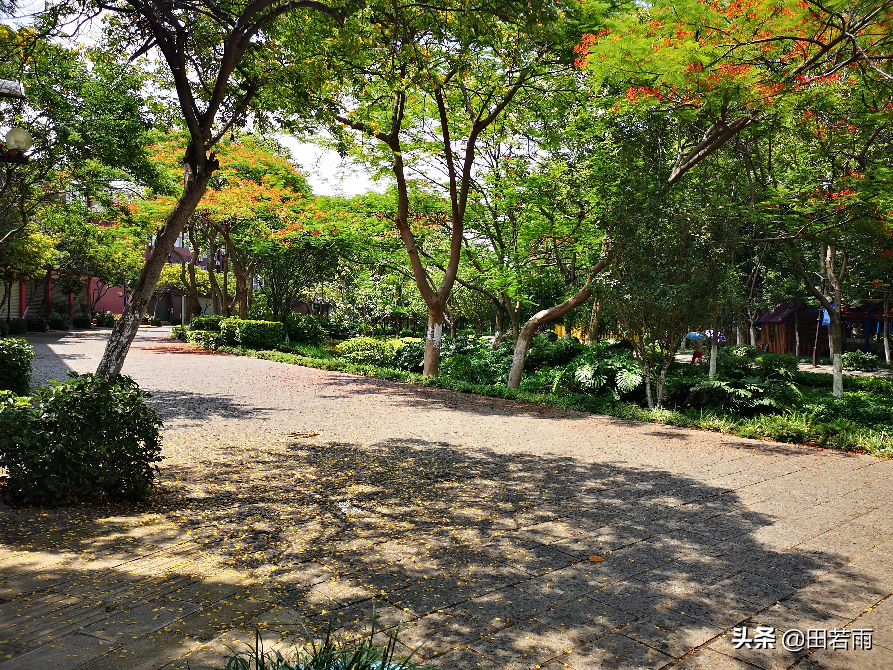 开远市文明城市,开远市怎样的城市