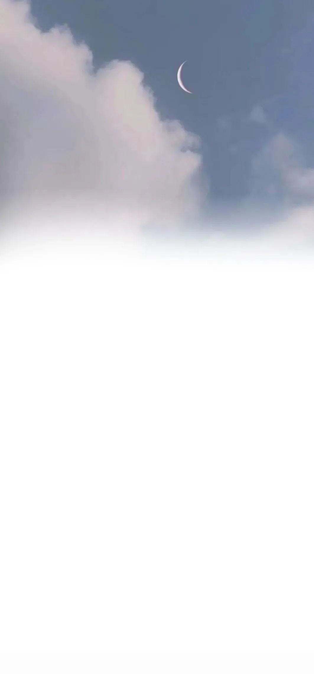 聊天背景壁纸网红,微信聊天背景壁纸