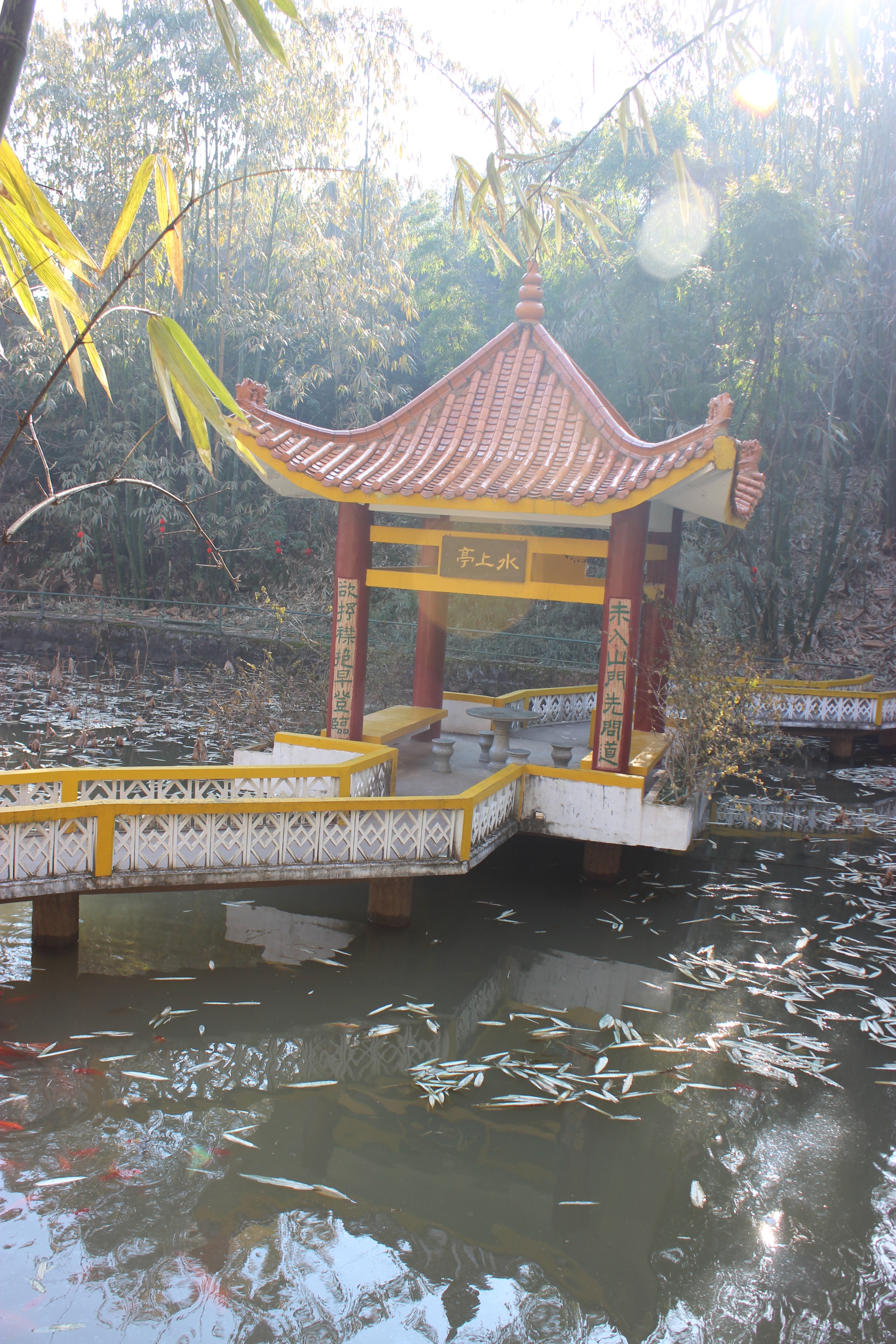 赣州周末出游攻略,春节赣州出发2-3天短途旅游