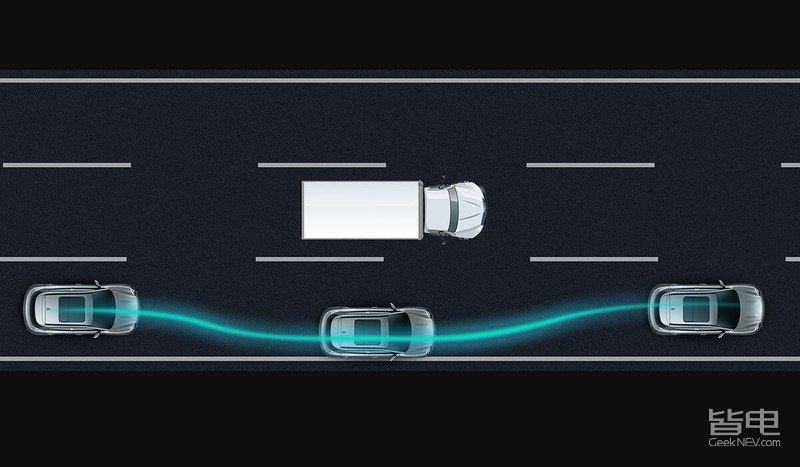 一只美貌与智慧并重的猫咪,一只靠自己找到今生铲屎官的橘猫