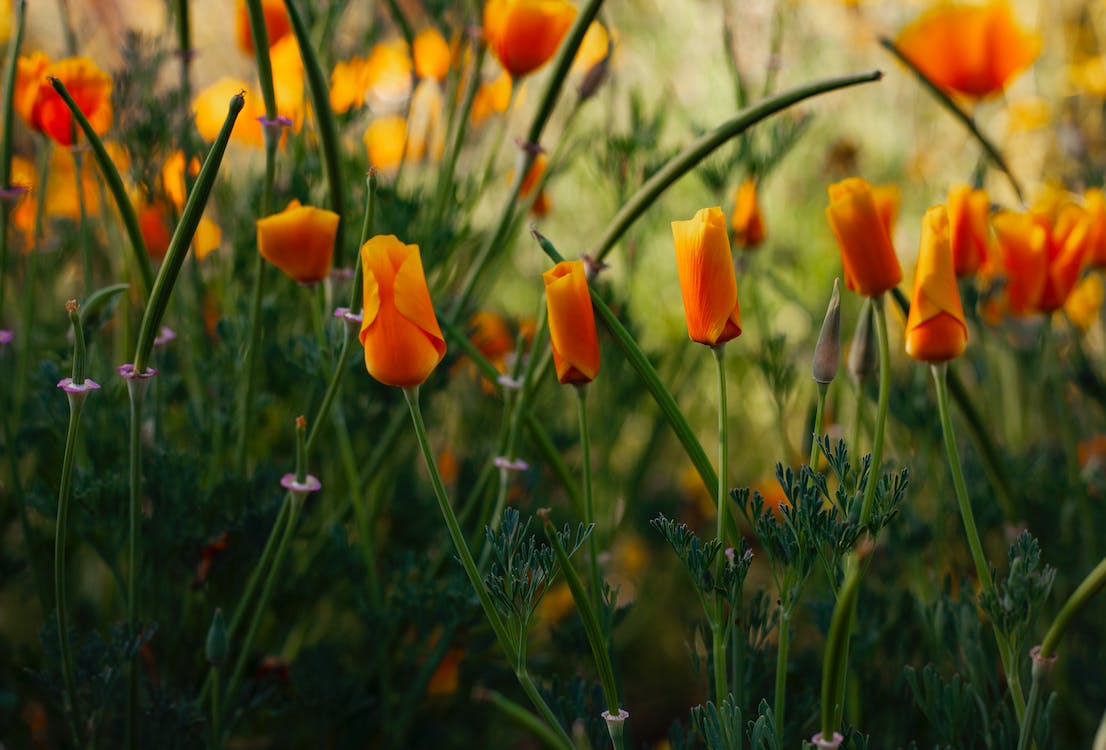 怎么搞定怕麻烦的男人,女人想要搞定优质男人用一个方法