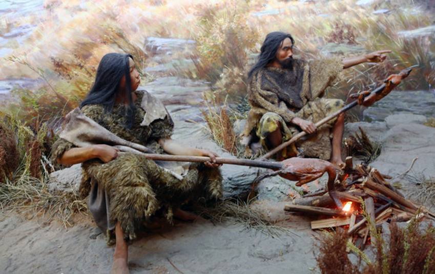 人类进化出野生四肢,人类在进化过程中逐渐退化的器官