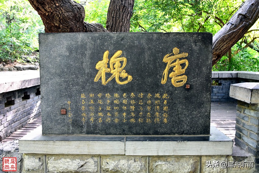 千佛山看济南,千佛山看济南全貌