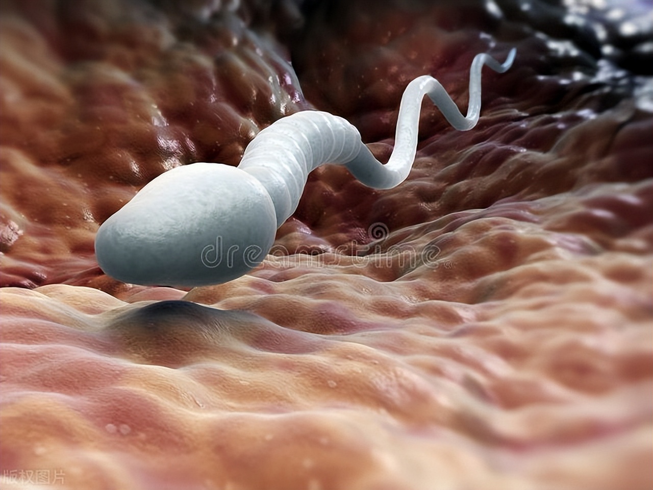 冬不藏精的后果,冬不藏精有什么说法