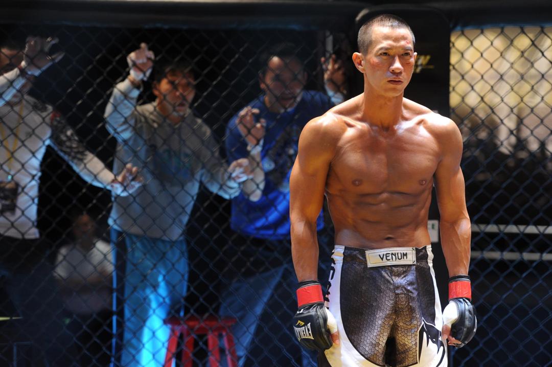 八角笼中揭露了什么,八角笼中格斗片段技术解析