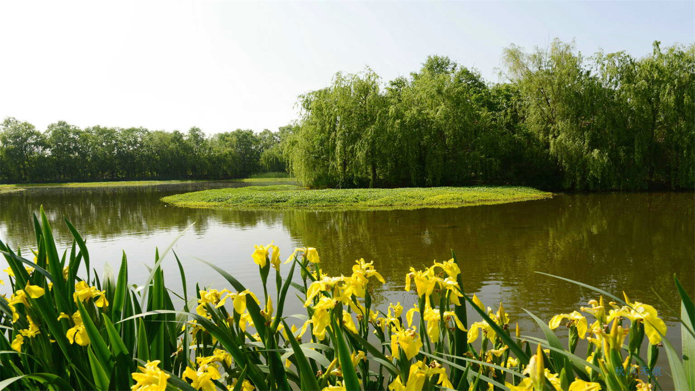 春情春思春景赏，春思春念春日长