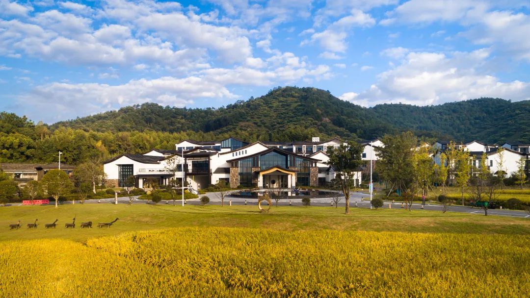 国庆节君澜温泉度假酒店,温泉度假酒店新景