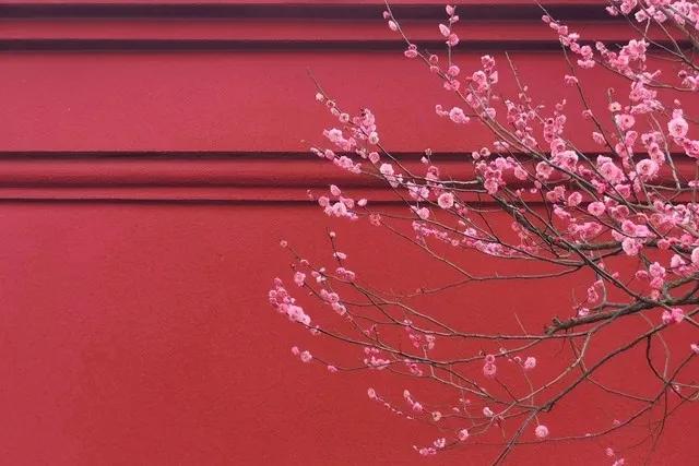 最好听最经典的十首红歌,60年代经典好听的红歌