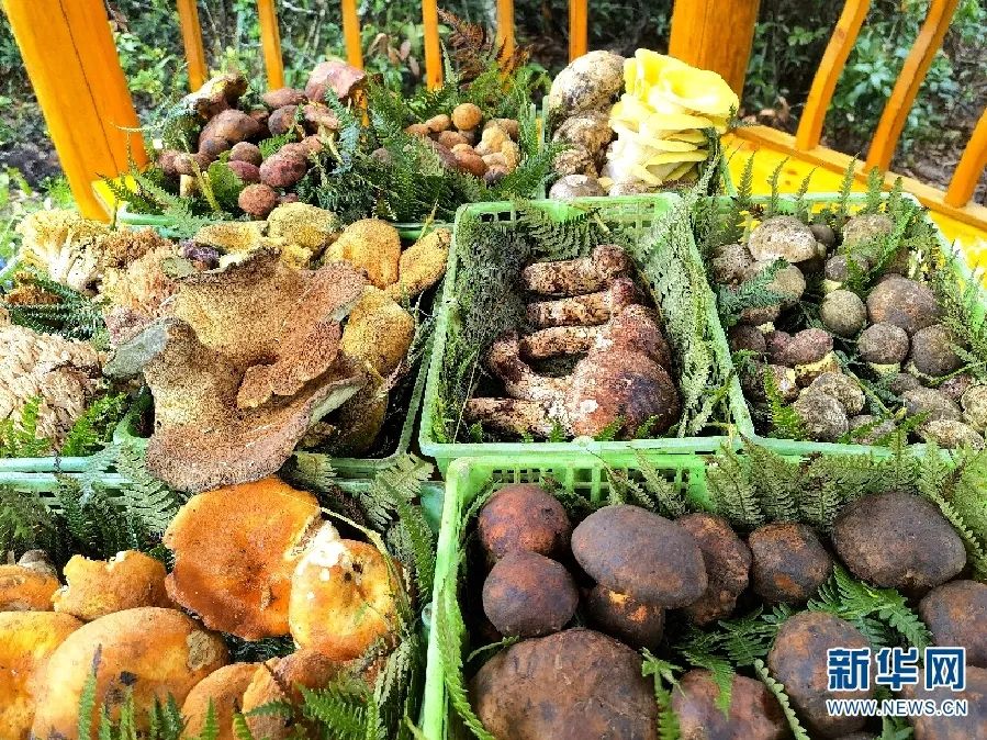 比肉还好吃的香菇就应该这样做,比肉还香香菇