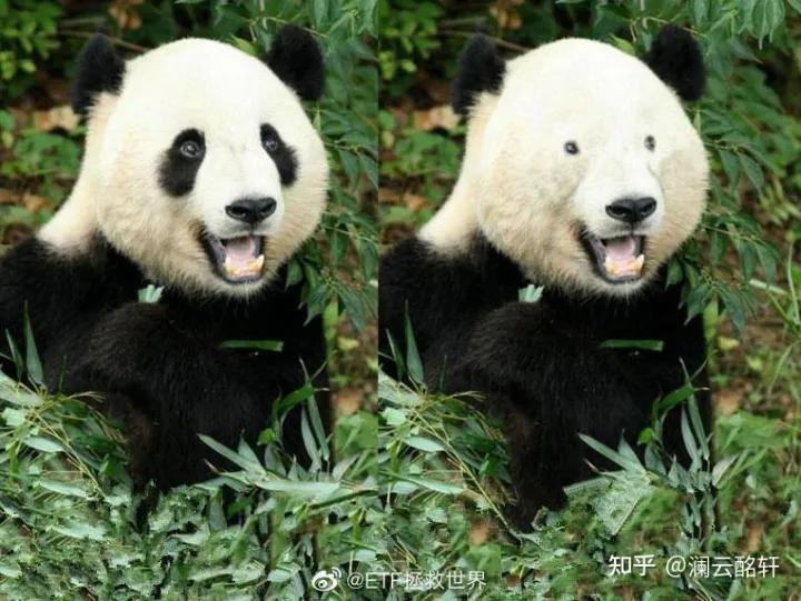 高三女生百日誓师因表情管理不当,高三女生因百日誓师表情遭网暴