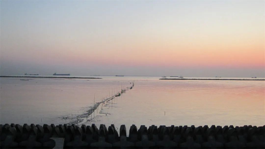 足不出沪旅游,足不出沪食遍江南