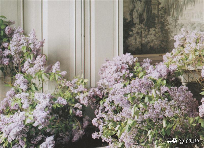 哪个星座容易产生依赖对象呢,越是冷落对你越依赖的五大星座