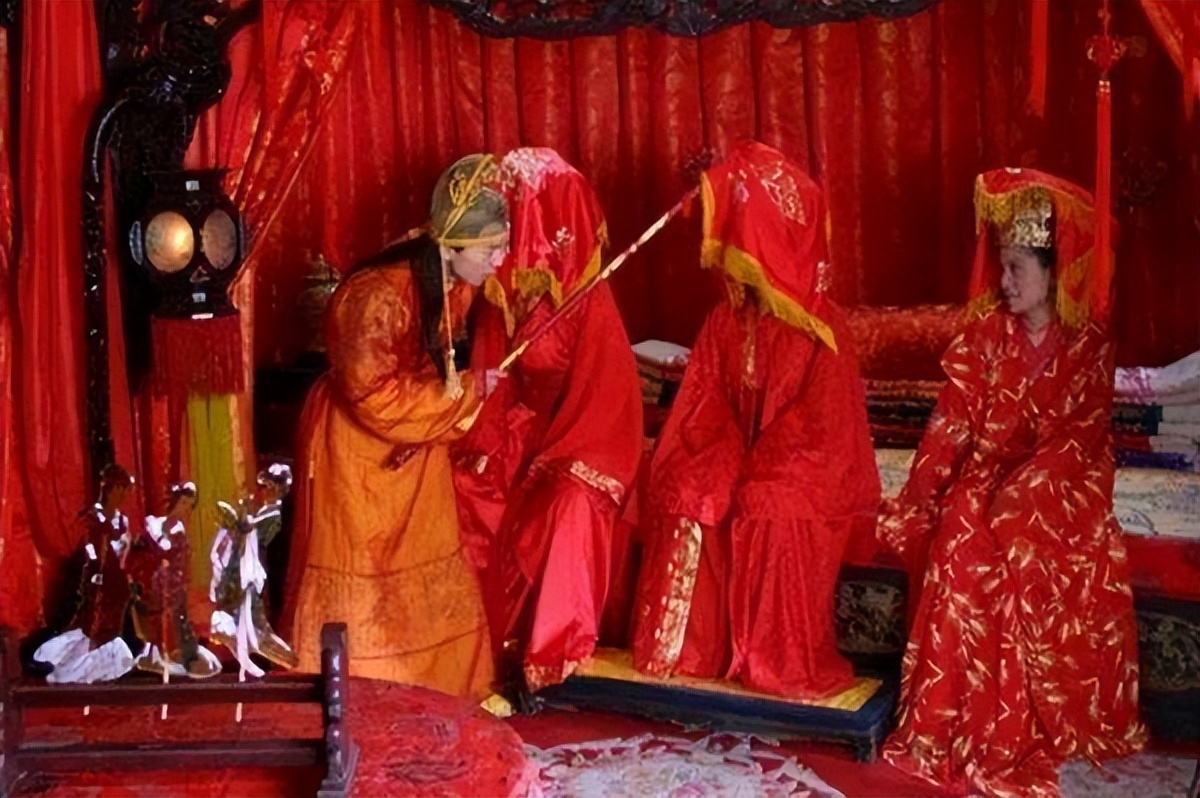 微生物菌群最新研究进展,一号菌群科研新成果