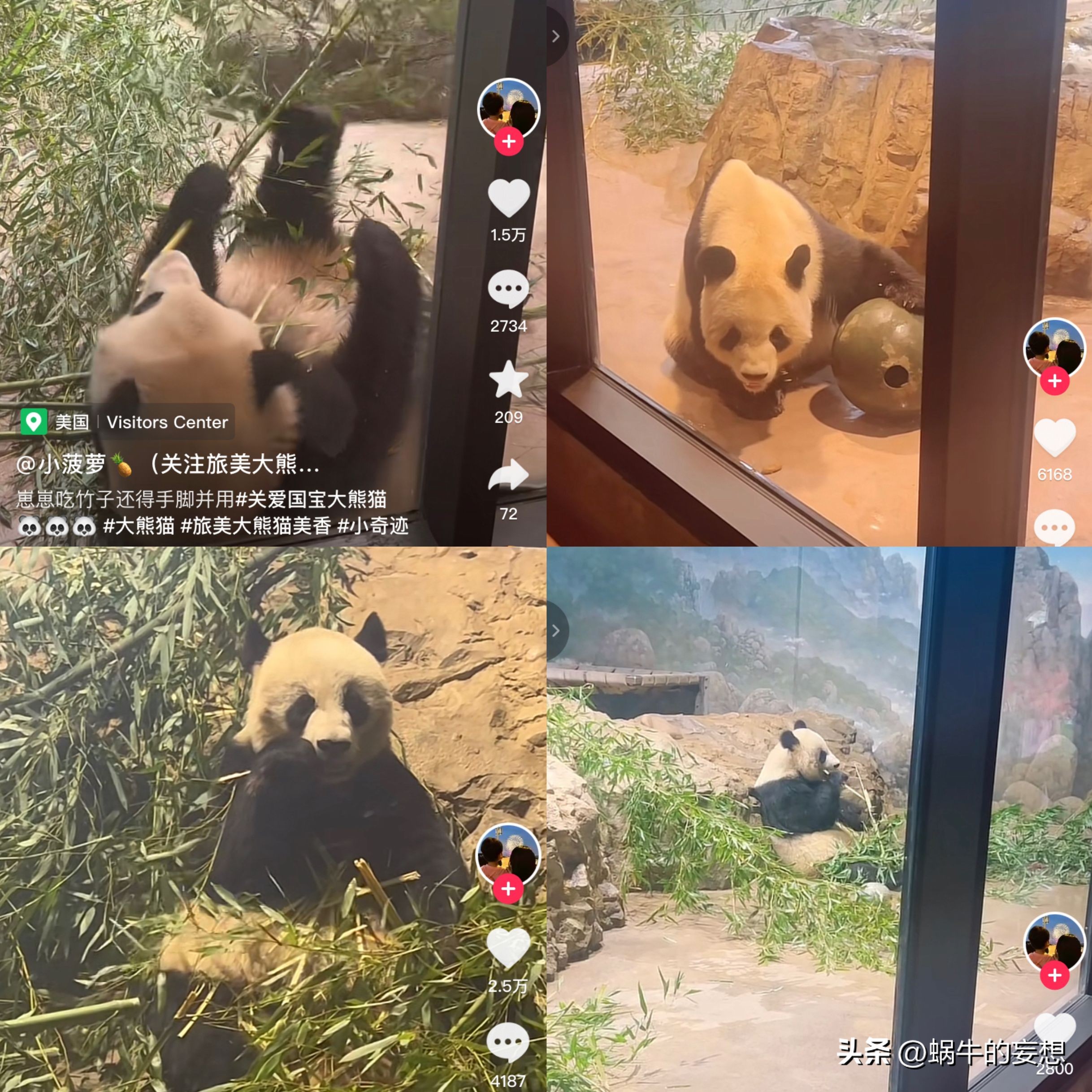 美香一家状况令人担忧,美香得了啥病